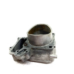 08-11 Kawasaki Teryx 750 KRF750A 4x4 OEM Front Cylinder 11005-0107 XK0.2