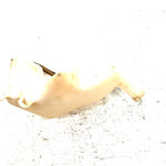 04 Honda Foreman Rubicon 500 4x4 OEM Coolant Overflow Tank 19110-HN2-000 AH86