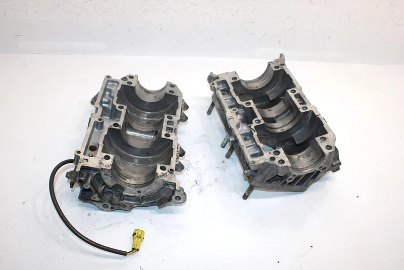 04 Arctic Cat Pantera 800 Efi Oem Crankcase W/Heat Sensor 3006-460 SAS15