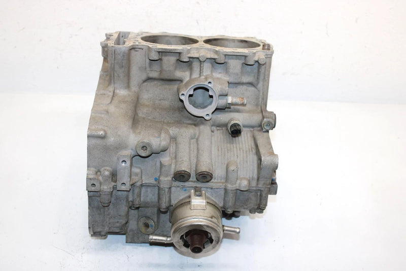 12 Arctic Cat F1100 Lxr Efi Oem Crankcase Assembly 3007-854 SA41