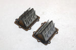 Polaris Oem Intake Reed Valve (Pair) 1201843 Q1170