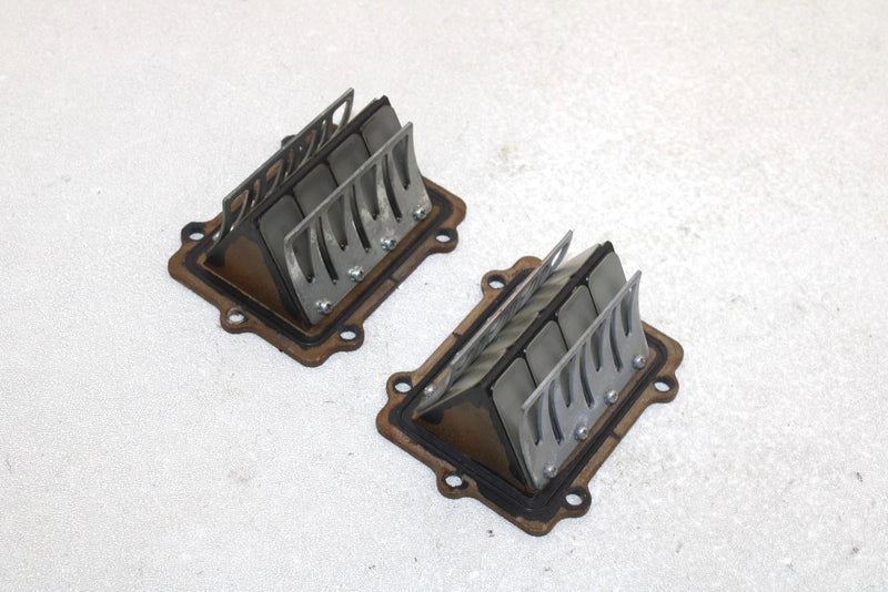 Polaris Oem Intake Reed Valve (Pair) 1201843 Q1170