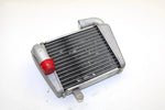 Yamaha Oem Engine Radiator 8GS-12461-00-00 Q4235
