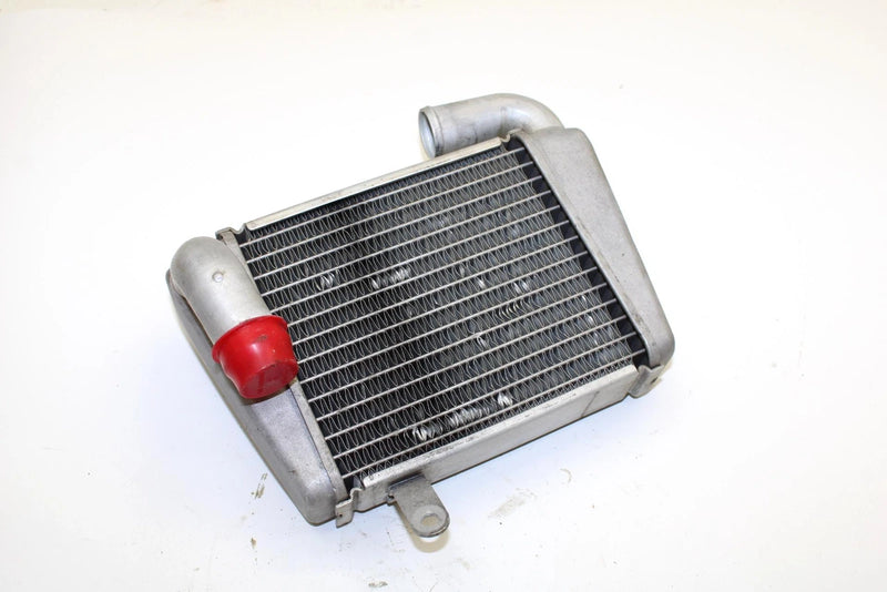 Yamaha Oem Engine Radiator 8GS-12461-00-00 Q4235