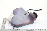 98 Polaris Xc 600 Oem Oil Tank Assembly 5432370 SP151