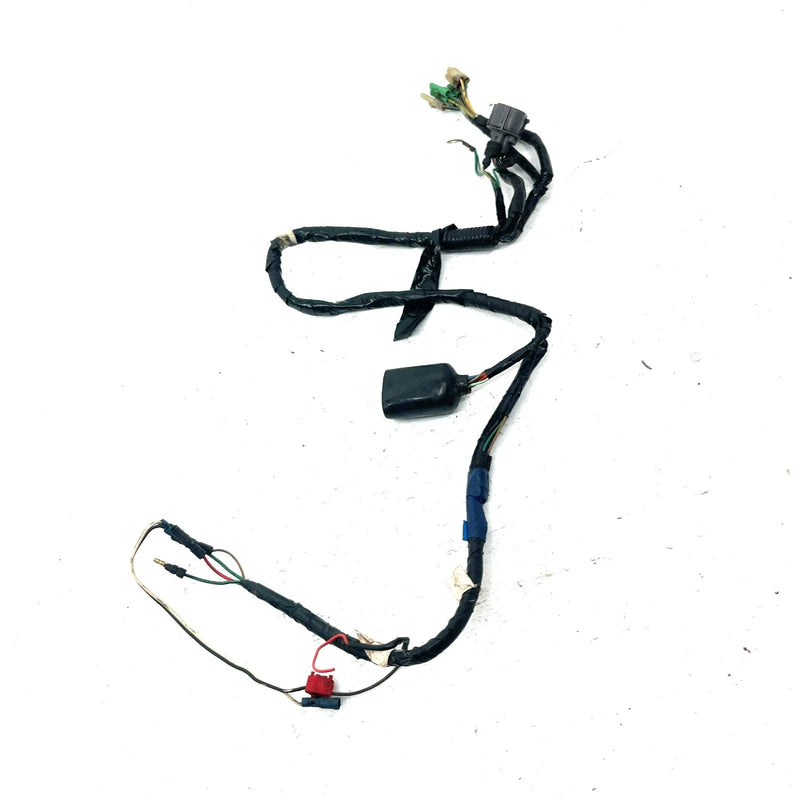 93-04 Honda Sportrax 300 TRX300EX 2x4 OEM Main Wire Harness 32100-HM3-000 AH81