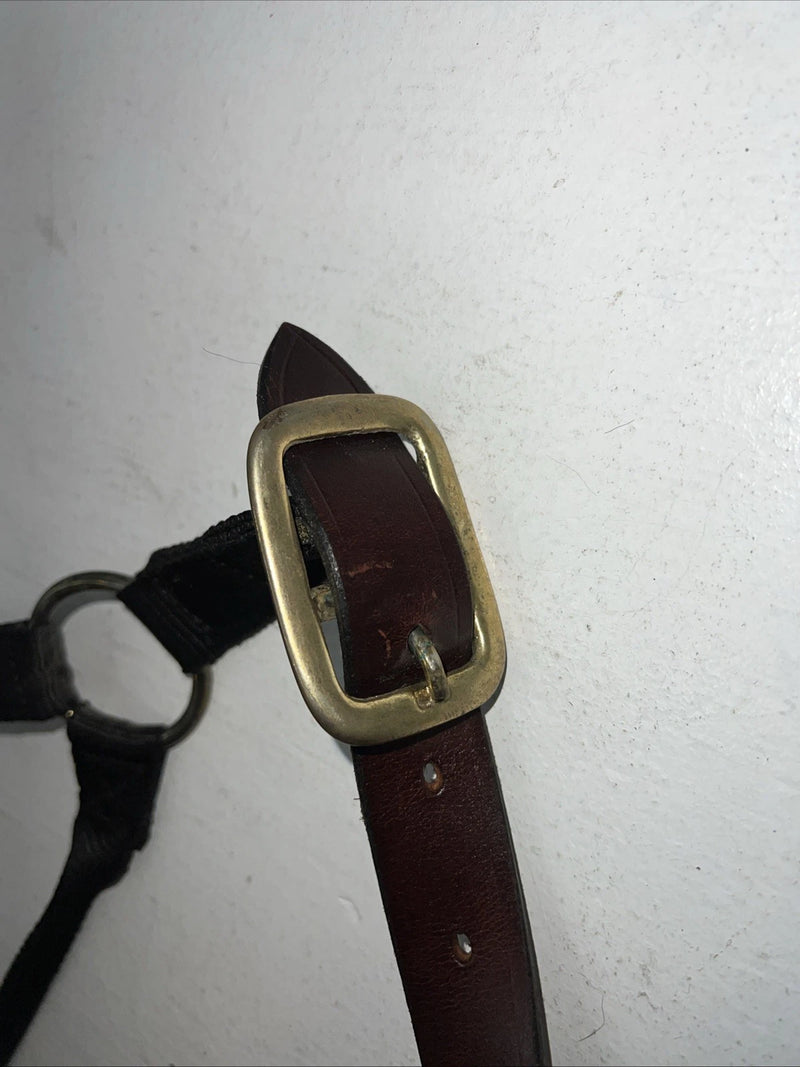 New Showman Nylon Black Halter With Genuine Leather Head Piece #6657 W-50