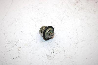 08 Arctic Cat Prowler Xt 650 4x4 H1 Automatic Oem Thermostat 0808-078 XA0