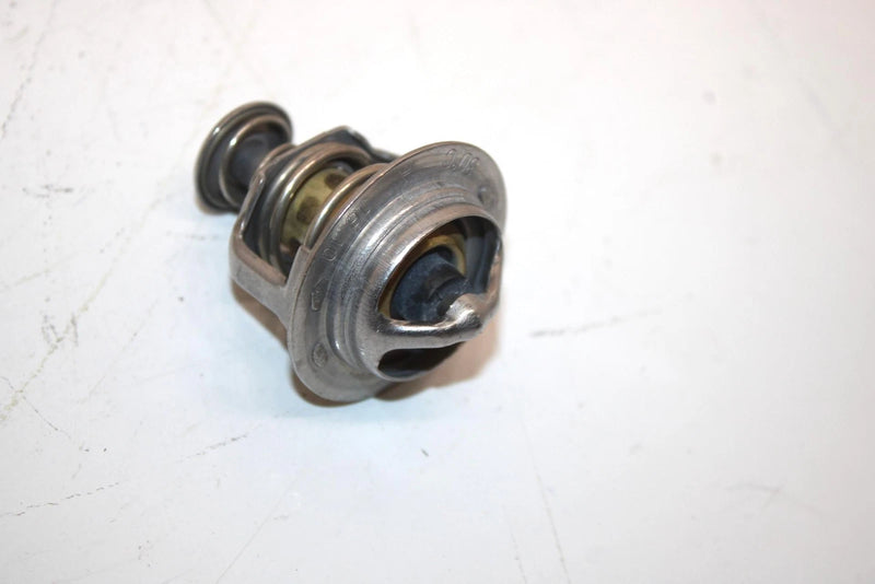 08 Arctic Cat F1000 Sno Pro Efi Oem Thermostat And Cover 3007-304 3007-041 SAS9