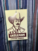 New Mens Navy Stripped ELY cattleman Pearl Snap Long Sleeve Shirt 15.5x34 M I-29