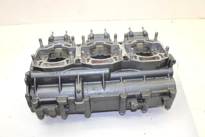1996 Arctic Cat Monte Carlo 900 OEM Crankcase 3008-256 JA0