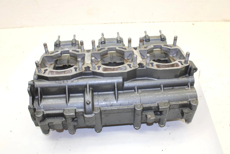 1996 Arctic Cat Monte Carlo 900 OEM Crankcase 3008-256 JA0