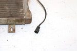 2000 Polaris Sportsman 500 Rse Oem Engine Radiator 1240533 AP206