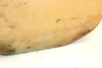 1993 Arctic Cat Tigershark Oem Gas Tank 0770-094 JA8