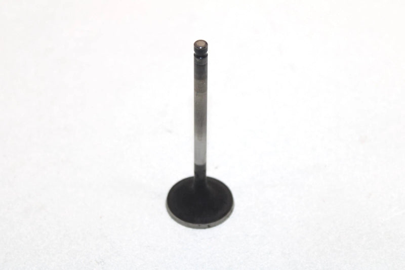 00 Arctic Cat 300 4x4 Oem Intake Valve 3402-290 AA20