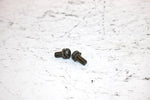 2001 Ski-doo Mxz 800 Oem Carb Cap Screw Pair 404161923 SS19