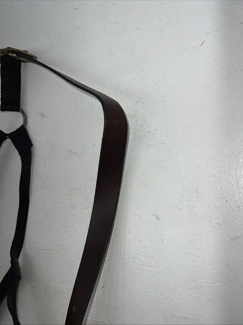 New Showman Nylon Black Halter With Genuine Leather Head Piece #6657 W-50