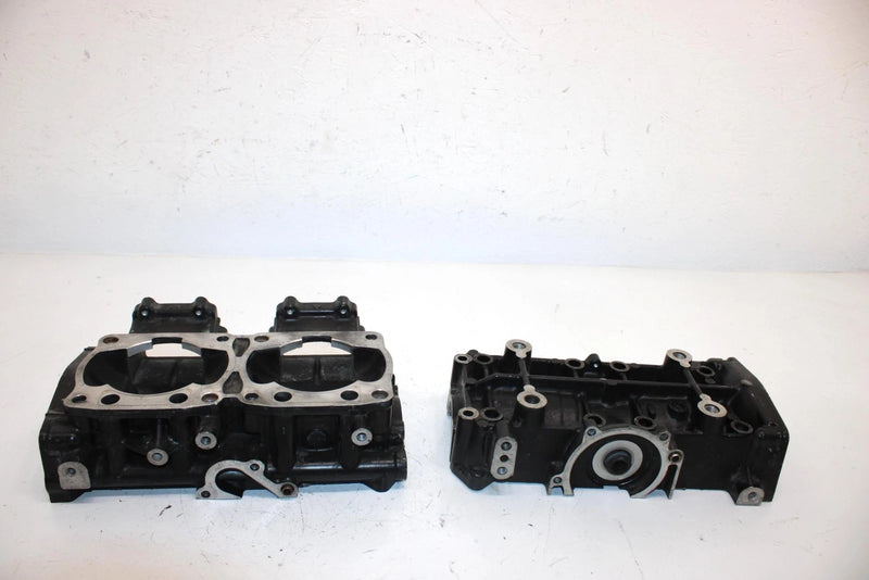 01 Arctic Cat Z 440 Sno Pro Oem Crankcase Assembly 3005-723 SA74
