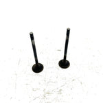 95-98 Polaris Magnum 425 4X4 OEM Exhaust Valve Pair 3085412 AP232