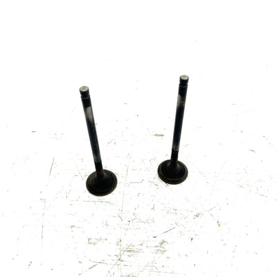 95-98 Polaris Magnum 425 4X4 OEM Exhaust Valve Pair 3085412 AP232