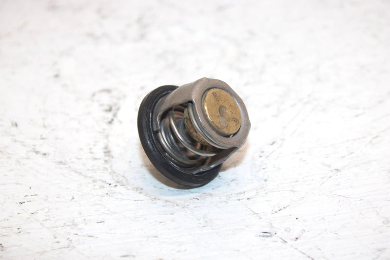 2005 Arctic Cat 500 4x4 Oem Thermostat 3413-012 AA1