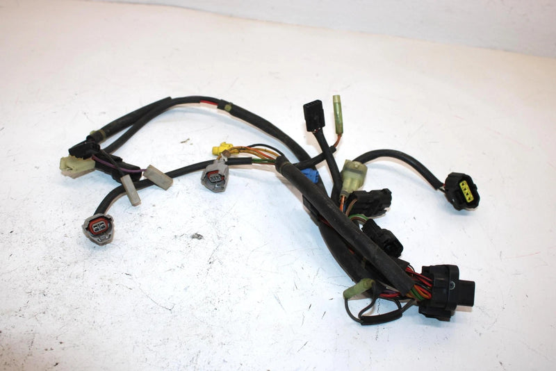 06 Arctic Cat Zr 900 Sno Pro Efi Oem CDI Wire Harness 3006-753 SAS3