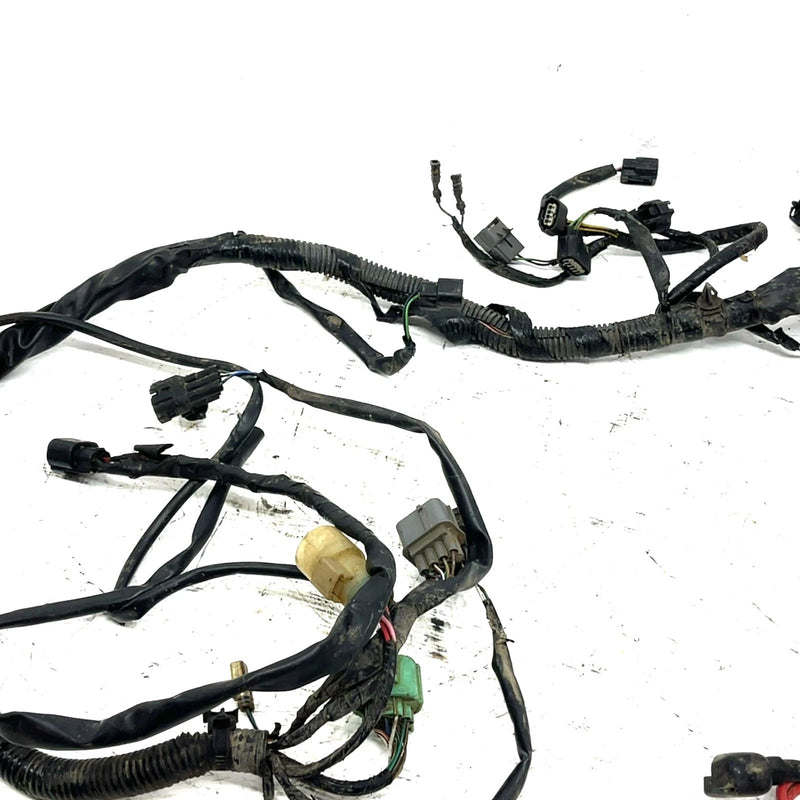 2009 Honda Rancher 420 TRX420FE ES OEM Main Wire Harness 32100-HP5-A51 AH76