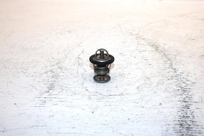 1999 Polaris 500 Xc Oem Thermostat 7052232 7052267 SP28