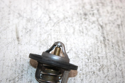 2006 Polaris Predator 500 Oem Thermostat 3088028 AP63