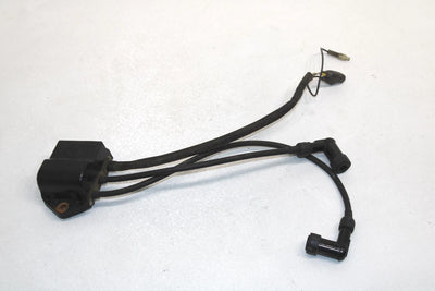 90 Polaris Indy 500 Oem CDI Coil Box 3083989 SP177