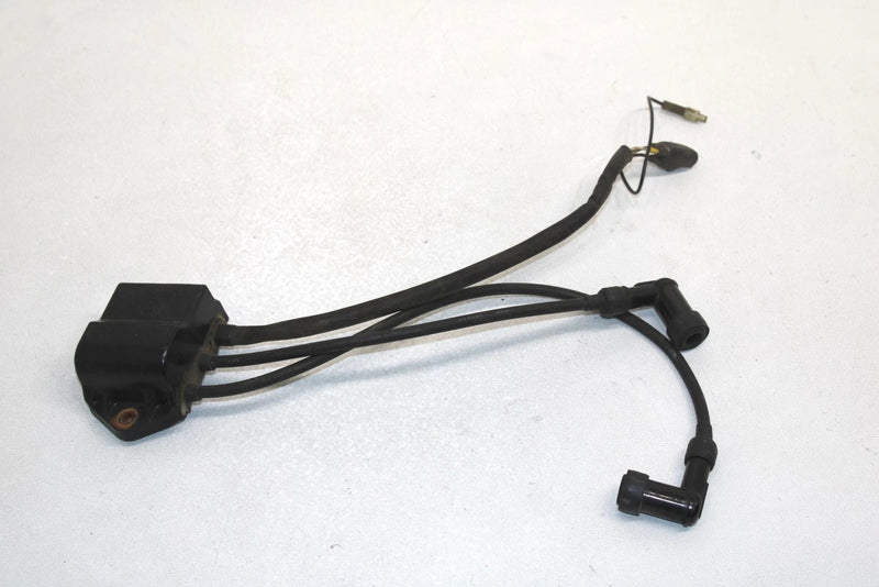 90 Polaris Indy 500 Oem CDI Coil Box 3083989 SP177