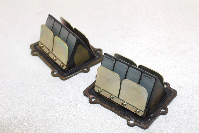 Polaris Oem Intake Reed Valve (Pair) 1201825 Q1174
