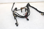 06 Polaris Edge 600 Touring Oem Main Wiring Harness 2461149 SP179