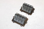 Polaris Oem Intake Reed Valve (Pair) 1201843 Q1170
