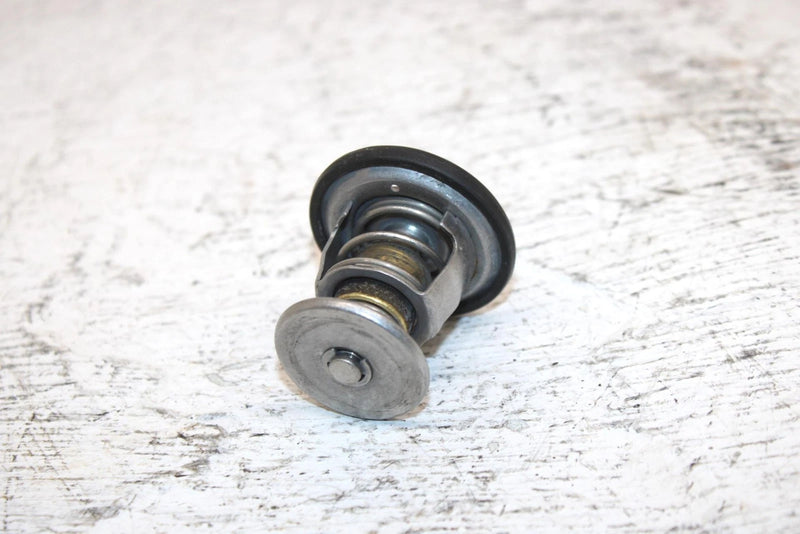 2000 Ski-doo Mxz 600 Oem Thermostat 414834100 420922519 SS0