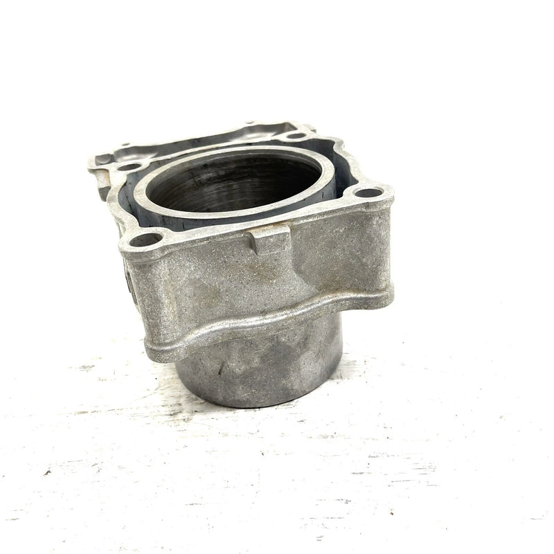 10-14 Polaris Sportsman 550 OEM 96.5mm Cylinder Assy 3090202 AP238