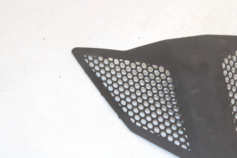 Polaris Oem Center Hood Screen Black 5435838-070 B45