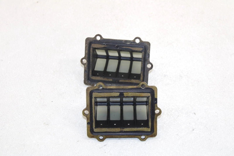 Polaris Oem Intake Reed Valve (Pair) 1201825 Q1174