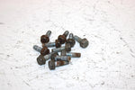 2002 Polaris Sportsman 700 Oem Bolt Set Of 11 3233955 AP184