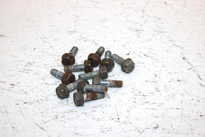 2002 Polaris Sportsman 700 Oem Bolt Set Of 11 3233955 AP184