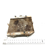 01-04 Honda Foreman Rubicon 500 TRX500FA 4x4 OEM Radiator  19010-HN2-505 AH86