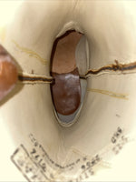 New Childrens Brown Texas Brand Cowboy Boots. 2944 5.5 5 1/2 D. 2-86