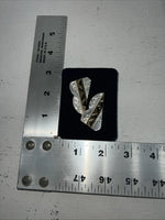 New Women’s Montana Silversmiths Gold Silver Black Collar Tips. CT4 A-37