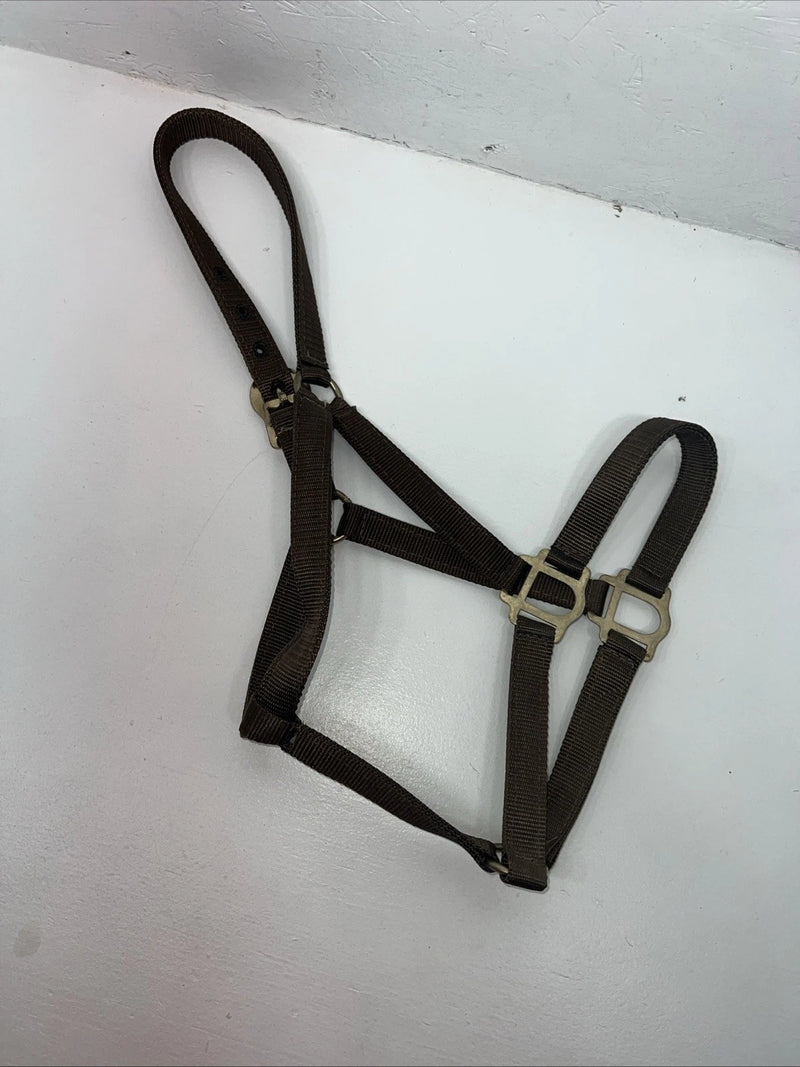 New Brown Nylon Full Horse Halter Gold Buckles NN-600