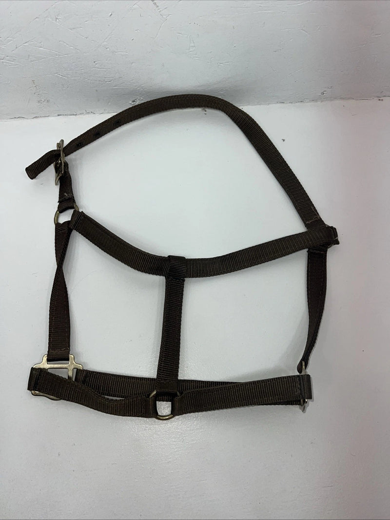 New Brown Nylon Full Horse Halter Gold Buckles NN-600