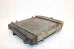 1998 Arctic Cat 454 Oem Radiator 0413-001 AA3