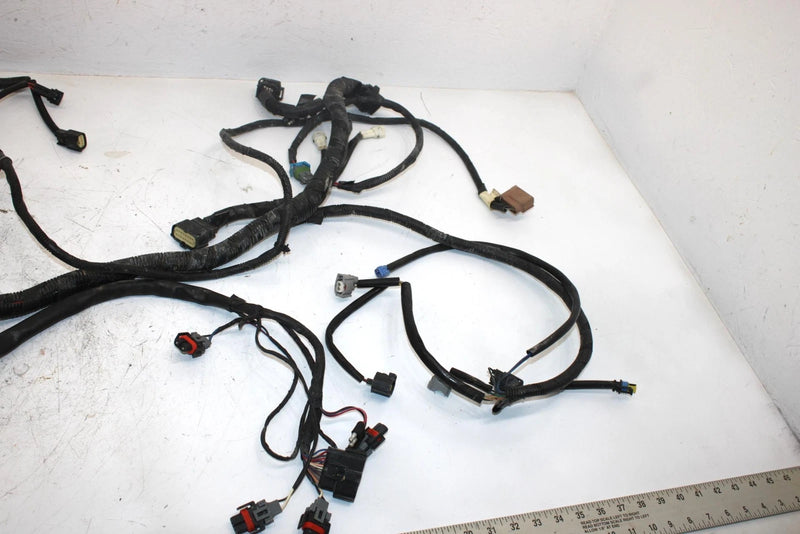 08 Arctic Cat F1000 Sno Pro Efi Oem Main Wire Harness 1686-417 SAS9