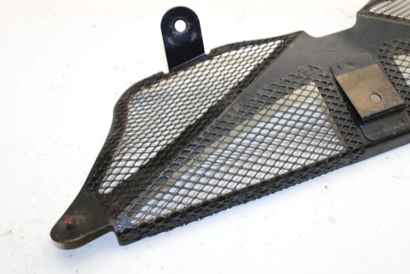 2006 Yamaha Apex Er Oem Taillight Cover Screen 8FP-77441-00-00 SY97