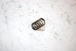 96 Polaris Xpress 300 Oem Throttle Stop/ Spring 3130010 3130009 Q2761