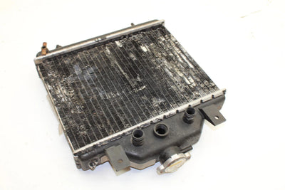 93 Polaris Trail Boss 350L 4x4 OEM Radiator 1240006 AP112